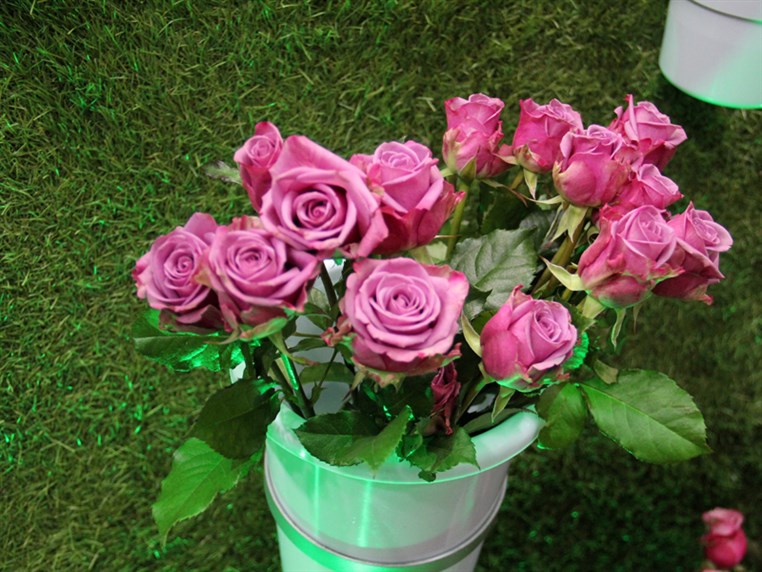 Opening of Zanbak Flower Boutique 